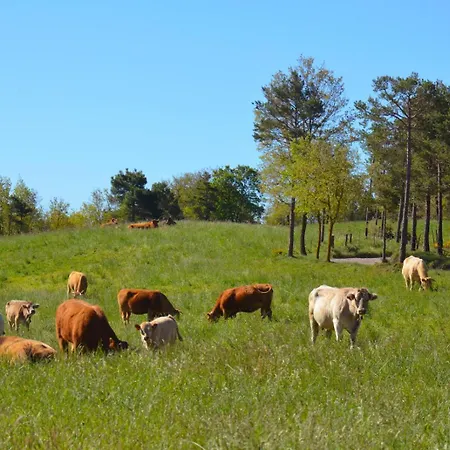 Mas Postius Muntanyola