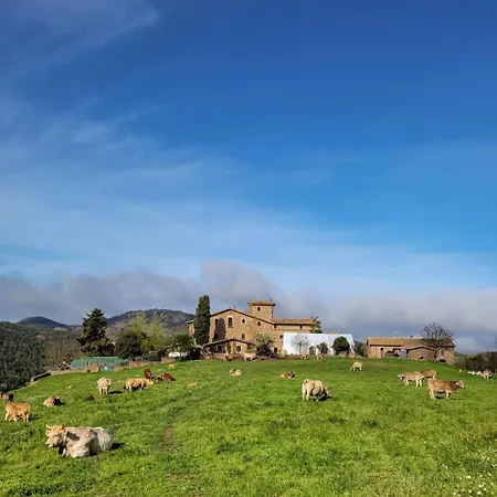 Casa rural Mas Postius