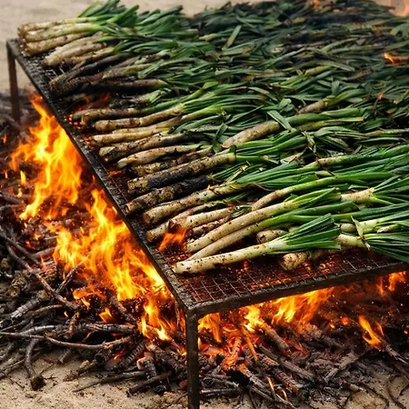 컨트리하우스 Mas Postius Muntanyola